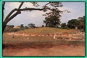 Amravati - Aandhra Pradesh