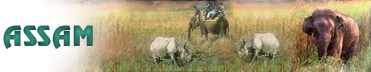 Assam